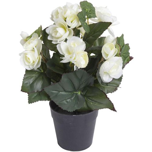 8505451846006 - Kunstblume BOTANIC-HAUS Begonienbusch mit 7 Stielen beige (creme weiß) B18cm H26cm T18cm Ø18cm Kunststoff Kunstpflanzen
