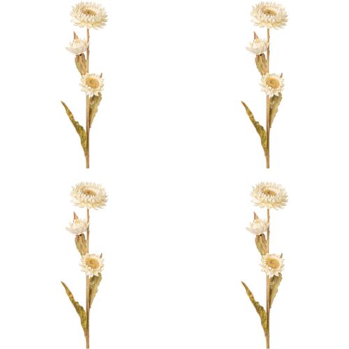 4064118117216 - Kunstblume CREATIV GREEN Strohblume beige (creme) H61cm Obermaterial 95% Polyethylen 5% Polyester Kunstpflanzen