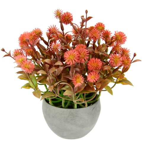 4019844794163 - Kunstpflanze IGEA Margerite im Topf Kunstpflanzen Gr B H L 20 cm x 23 cm x 20 cm 1 St rot Weitere Weihnachtsdeko Künstliche Blumen Blütenbusch Busch Tischdeko Pflanze Kunstblumen Deko