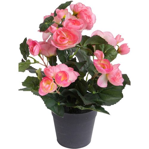 8505451846075 - Kunstblume BOTANIC-HAUS Begonienbusch mit 7 Stielen pink (hellpink) B18cm H26cm T18cm Ø18cm Kunststoff Kunstpflanzen