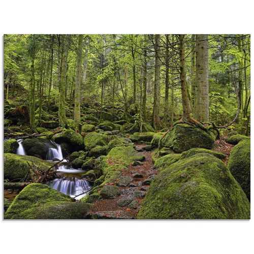 4058661671622 - Glasbild ARTLAND Zauberwald mit Bach Bilder Gr B H 60 cm x 45 cm Glasbild Wald Querformat 1 St grün Bild Glasbild Glasbilder Bilder in verschiedenen Größen 4058661671622 - Glasbild ARTLAND Zauberwald mit Bach Bilder Gr B H 60 cm x 45 cm Glasbild Wald Querformat 1 St grün Bild Glasbild Glasbilder Bilder in verschiedenen Größen