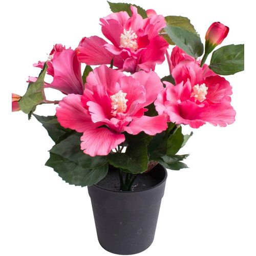 8505451848079 - Kunstblume BOTANIC-HAUS Hibiskus im Topf Kunstpflanzen Gr Ø H 20 cm x 27 cm 1 St pink Kunst-Blumen 8505451848079 - Kunstblume BOTANIC-HAUS Hibiskus im Topf Kunstpflanzen Gr Ø H 20 cm x 27 cm 1 St pink Kunst-Blumen