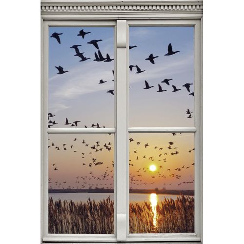 4049009363507 - Wandsticker QUEENCE Vogelschwarm orange B40cm H60cm T01cm Wandtattoos Wandsticker Wandbild selbstklebend 3D Fenster 4049009363507 - Wandsticker QUEENCE Vogelschwarm orange B40cm H60cm T01cm Wandtattoos Wandsticker Wandbild selbstklebend 3D Fenster