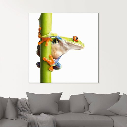 4055327038300 - Glasbild ARTLAND Frosch umfasst einen Pflanzenstengel Bilder Gr B H 20 cm x 20 cm Wassertiere 1 St weiß Glasbilder Bilder 4055327038300 - Glasbild ARTLAND Frosch umfasst einen Pflanzenstengel Bilder Gr B H 20 cm x 20 cm Wassertiere 1 St weiß Glasbilder Bilder