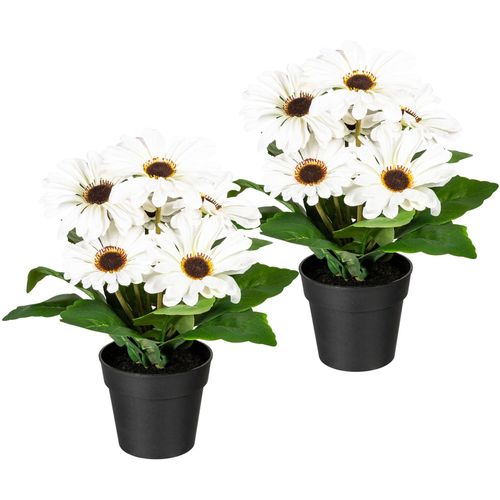 4064118841227 - Kunstpflanze MY HOME Elaine weiß B15cm H27cm Obermaterial 50% Kunststoff 50% Polyester Kunstpflanzen Künstliche Zimmerpflanze im Topf 2er Set 4064118841227 - Kunstpflanze MY HOME Elaine weiß B15cm H27cm Obermaterial 50% Kunststoff 50% Polyester Kunstpflanzen Künstliche Zimmerpflanze im Topf 2er Set