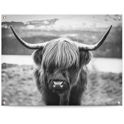 8714597628166 - Poster REINDERS Schottische Hochlandrind schwarz (farbe bild(er) schwarz weiß) B80cm H60cm T01cm Leinwand Bilder 8714597628166 - Poster REINDERS Schottische Hochlandrind schwarz (farbe bild(er) schwarz weiß) B80cm H60cm T01cm Leinwand Bilder