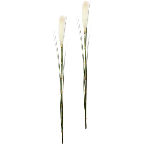 4019844715144 - Kunstpflanze IGEA Pampas Kunstpflanzen Gr B H L 13 cm x 125 cm x 10 cm 2 St weiß Künstliche Zimmerpflanzen Pampasgras Boho 2er Set
