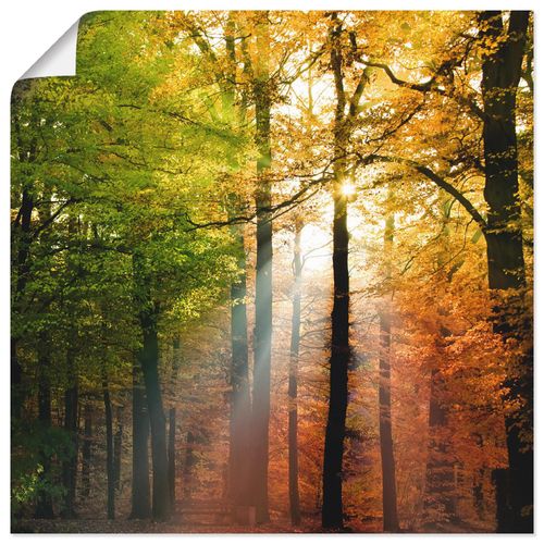 4055327615211 - Wandbild ARTLAND Schöner Herbsttag 2 Bilder Gr B H 30 cm x 30 cm Poster Wald quadratisch 1 St braun Bild Poster Bilder als Alubild Leinwandbild Wandaufkleber oder in versch Größen