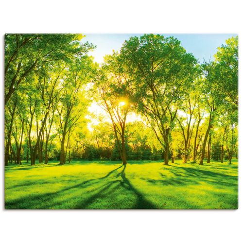 4055327780063 - Wandbild ARTLAND Frühlingswärme II grün (farbe bild(er) grün) B80cm H60cm T18cm Canvas Leinwand Bilder als Leinwandbild Poster Wandaufkleber in verschied Größen