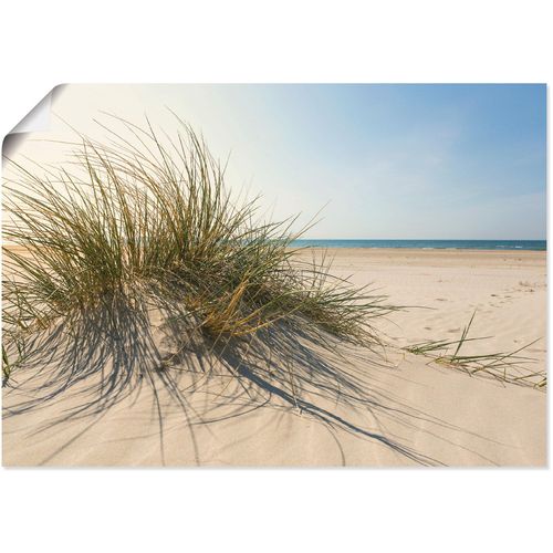 4059745775182 - Wandbild ARTLAND Strandgras Bilder Gr B H 70 cm x 50 cm Poster Küste 1 St beige (naturfarben) Bild Leinwandbild Kunstdrucke Bilder als Alubild Leinwandbild Wandaufkleber oder Poster in versch Größen 4059745775182 - Wandbild ARTLAND Strandgras Bilder Gr B H 70 cm x 50 cm Poster Küste 1 St beige (naturfarben) Bild Leinwandbild Kunstdrucke Bilder als Alubild Leinwandbild Wandaufkleber oder Poster in versch Größen