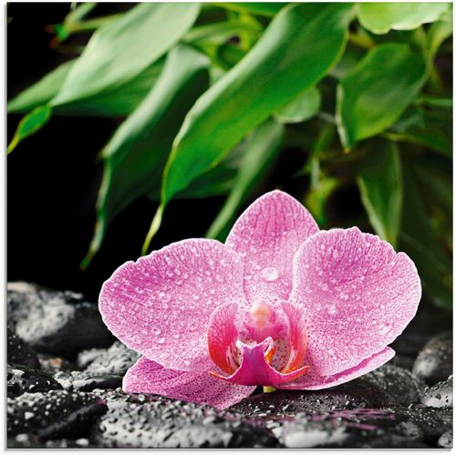 4055327042666 - Glasbild ARTLAND Rosa Orchidee auf schwarzen Zen Steinen Bilder Gr B H 20 cm x 20 cm Blumen 1 St pink Glasbilder Bilder in verschiedenen Größen