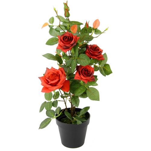 4019844777685 - Kunstbaum IGEA Rosenbusch im Topf rot B27cm H50cm L27cm Obermaterial 95% Polyester 5% Kunststoff Kunstpflanzen Kunstrosen Kunstpflanzen Rosenstrauch Deko Hochzeit 4019844777685 - Kunstbaum IGEA Rosenbusch im Topf rot B27cm H50cm L27cm Obermaterial 95% Polyester 5% Kunststoff Kunstpflanzen Kunstrosen Kunstpflanzen Rosenstrauch Deko Hochzeit