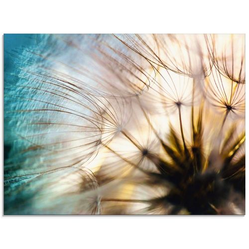 4059745195379 - Glasbild ARTLAND Pusteblume Makro abstrakt Bilder Gr B H 60 cm x 45 cm Glasbild Blumen Querformat 1 St beige (naturfarben) Bild Glasbild Glasbilder Bilder in verschiedenen Größen