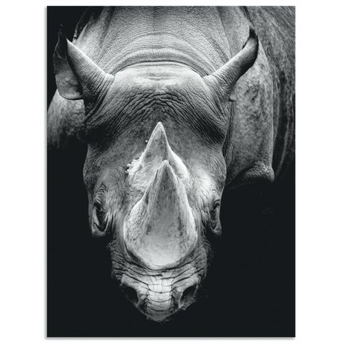 4062144663981 - Wandbild ARTLAND Das Nashorn Bilder Gr B H 45 cm x 60 cm Alu-Dibond-Druck Wildtiere Hochformat 1 St schwarz Kunstdrucke als Alubild Leinwandbild Wandaufkleber oder Poster in versch Größen 4062144663981 - Wandbild ARTLAND Das Nashorn Bilder Gr B H 45 cm x 60 cm Alu-Dibond-Druck Wildtiere Hochformat 1 St schwarz Kunstdrucke als Alubild Leinwandbild Wandaufkleber oder Poster in versch Größen