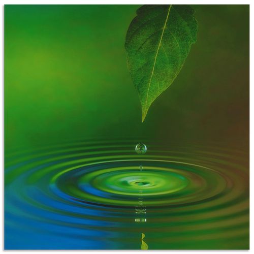 4057738371472 - Wandbild ARTLAND Wassertropfen Bilder Gr B H 50 cm x 50 cm Alu-Dibond-Druck Zen quadratisch 1 St grün Bild Poster Bilder als Alubild Leinwandbild Wandaufkleber oder in versch Größen 4057738371472 - Wandbild ARTLAND Wassertropfen Bilder Gr B H 50 cm x 50 cm Alu-Dibond-Druck Zen quadratisch 1 St grün Bild Poster Bilder als Alubild Leinwandbild Wandaufkleber oder in versch Größen