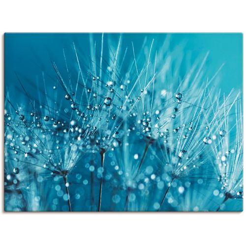 4055327990301 - Wandbild ARTLAND Blaue glitzernde Pusteblume Bilder Gr B H 80 cm x 60 cm Leinwandbild Blumen 1 St blau Bild Kunstdruck Kunstdrucke Bilder als Leinwandbild Wandaufkleber oder Poster in versch Größen