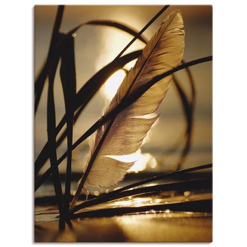 4055327771429 - Wandbild ARTLAND Feder im Abendlicht Bilder Gr B H 60 cm x 80 cm Leinwandbild Gräser Hochformat 1 St goldfarben Bild Leinwandbild Kunstdrucke Bilder als Leinwandbild Wandaufkleber oder Poster in versch Größen 4055327771429 - Wandbild ARTLAND Feder im Abendlicht Bilder Gr B H 60 cm x 80 cm Leinwandbild Gräser Hochformat 1 St goldfarben Bild Leinwandbild Kunstdrucke Bilder als Leinwandbild Wandaufkleber oder Poster in versch Größen