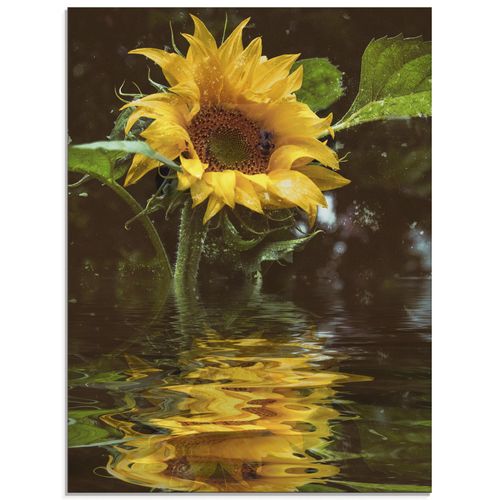 4062144088241 - Glasbild ARTLAND Sonnenblume mit Wasserspiegelung Bilder Gr B H 45 cm x 60 cm Glasbild Blumen Hochformat 1 St gelb Bild Glasbild Glasbilder Bilder in verschiedenen Größen 4062144088241 - Glasbild ARTLAND Sonnenblume mit Wasserspiegelung Bilder Gr B H 45 cm x 60 cm Glasbild Blumen Hochformat 1 St gelb Bild Glasbild Glasbilder Bilder in verschiedenen Größen