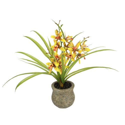 4019844810153 - Kunstblume IGEA Kunstblume Schmetterling Orchidee mit Keramiktopf orange B39cm H38cm L11cm Polyester Kunstpflanzen Mit Blätter Luftwurzeln Blume Kunstorchidee Phalaenopsis Kunstpflanze 4019844810153 - Kunstblume IGEA Kunstblume Schmetterling Orchidee mit Keramiktopf orange B39cm H38cm L11cm Polyester Kunstpflanzen Mit Blätter Luftwurzeln Blume Kunstorchidee Phalaenopsis Kunstpflanze