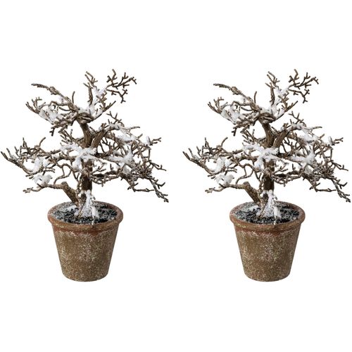 4064118970613 - Künstlicher Weihnachtsbaum CREATIV GREEN Weihnachtsdeko Weihnachtsbäume Gr Höhe 24 cm braun Kunstweihnachtsbäume Künstliche Weihnachtsbäume im Keramiktopf in Terracottaoptik 4064118970613 - Künstlicher Weihnachtsbaum CREATIV GREEN Weihnachtsdeko Weihnachtsbäume Gr Höhe 24 cm braun Kunstweihnachtsbäume Künstliche Weihnachtsbäume im Keramiktopf in Terracottaoptik