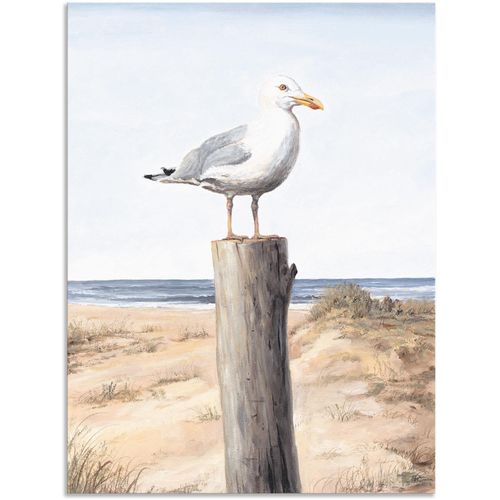 4057738410461 - Wandbild ARTLAND Möwe Bilder Gr B H 90 cm x 120 cm Alu-Dibond-Druck Vögel 1 St weiß Bild Poster Bilder als Alubild Leinwandbild Wandaufkleber oder in versch Größen