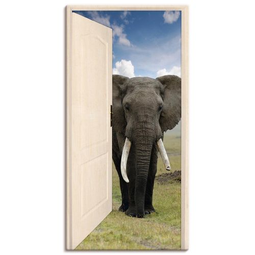 4057738346678 - Wandbild ARTLAND Offene weiße Türe mit Blick auf Elefant Bilder Gr B H 50 cm x 100 cm Leinwandbild Wildtiere Hochformat 1 St grau Bild Poster Bilder als Alubild Leinwandbild Wandaufkleber oder in versch Größen