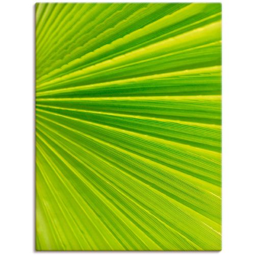 4058661013286 - Wandbild ARTLAND Palmenblätter Bilder Gr B H 60 cm x 80 cm Leinwandbild Blätter Hochformat 1 St grün Bild Poster Bilder als Alubild Leinwandbild Wandaufkleber oder in versch Größen