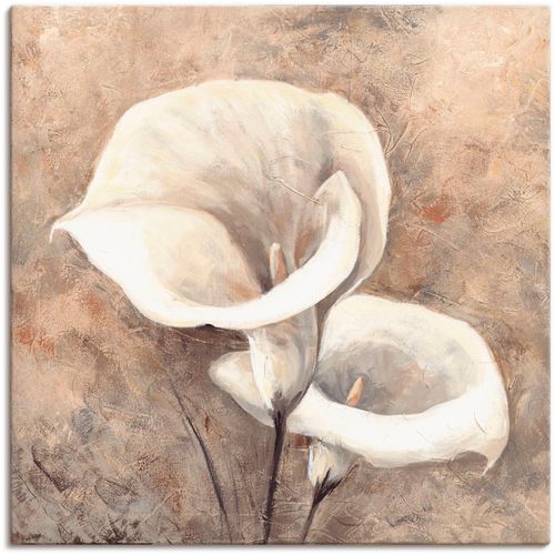 4055327137720 - Wandbild ARTLAND Klassische Callas Bilder Gr B H 30 cm x 30 cm Leinwandbild Blumen 1 St beige (naturfarben) Bild Poster Bilder als Alubild Leinwandbild Wandaufkleber oder in versch Größen 4055327137720 - Wandbild ARTLAND Klassische Callas Bilder Gr B H 30 cm x 30 cm Leinwandbild Blumen 1 St beige (naturfarben) Bild Poster Bilder als Alubild Leinwandbild Wandaufkleber oder in versch Größen