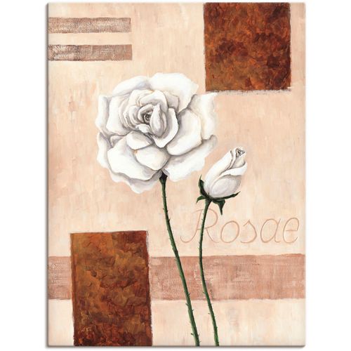 4055327154123 - Wandbild ARTLAND Rosae - Rosen Bilder Gr B H 60 cm x 80 cm Leinwandbild Blumenbilder Hochformat 1 St beige (naturfarben) Kunstdrucke als Alubild Leinwandbild Wandaufkleber oder Poster in versch Größen