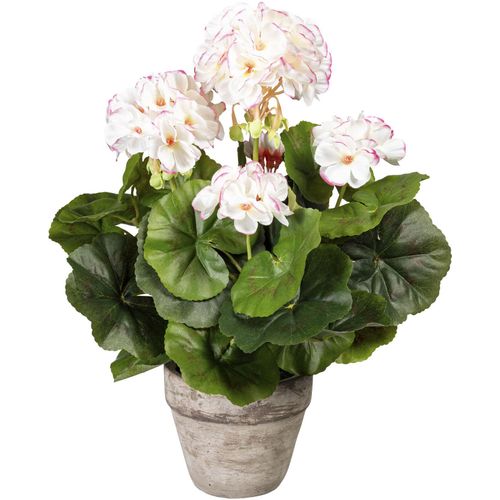 4064118969075 - Kunstpflanze CREATIV GREEN Geranienbusch rosa (weiß rosa) B18cm H34cm Obermaterial 70% Polyester 30% Kunststoff Kunstpflanzen im Zementtopf 4064118969075 - Kunstpflanze CREATIV GREEN Geranienbusch rosa (weiß rosa) B18cm H34cm Obermaterial 70% Polyester 30% Kunststoff Kunstpflanzen im Zementtopf