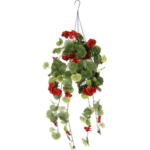 4019844801953 - Kunstblume IGEA Geranien-Hänger mit Hängeampel Geranie Pflanze mit Blüten rot B28cm H80cm L20cm Polyester Kunstpflanzen Künstliche Blumen Seidenblumen Sommerblüher Hängeblume 4019844801953 - Kunstblume IGEA Geranien-Hänger mit Hängeampel Geranie Pflanze mit Blüten rot B28cm H80cm L20cm Polyester Kunstpflanzen Künstliche Blumen Seidenblumen Sommerblüher Hängeblume