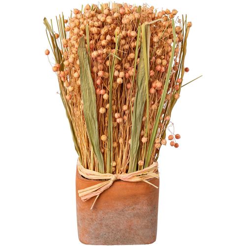 4064118141365 - Trockenblume CREATIV HOME Trockenblumen imTopf Kunstpflanzen Gr B H 10 cm x 30 cm 1 St rosa Trockenblumen 4064118141365 - Trockenblume CREATIV HOME Trockenblumen imTopf Kunstpflanzen Gr B H 10 cm x 30 cm 1 St rosa Trockenblumen