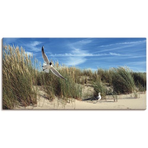 4059745062114 - Wandbild ARTLAND Möwe und Seeschwalbe in Dünenlandschaft Bilder Gr B H 100 cm x 50 cm Leinwandbild Vögel 1 St blau Bild Kunstdruck Leinwandbild Kunstdrucke Bilder als Alubild Leinwandbild Wandaufkleber oder Poster in versch Größen 4059745062114 - Wandbild ARTLAND Möwe und Seeschwalbe in Dünenlandschaft Bilder Gr B H 100 cm x 50 cm Leinwandbild Vögel 1 St blau Bild Kunstdruck Leinwandbild Kunstdrucke Bilder als Alubild Leinwandbild Wandaufkleber oder Poster in versch Größen