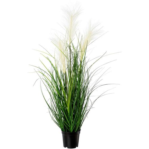4064118143666 - Kunstgras CREATIV GREEN Grasbusch Kunstpflanzen Gr Ø H 20 cm x 76 cm 1 St beige (creme) Kunst-Gräser mit Blüten im Topf 4064118143666 - Kunstgras CREATIV GREEN Grasbusch Kunstpflanzen Gr Ø H 20 cm x 76 cm 1 St beige (creme) Kunst-Gräser mit Blüten im Topf