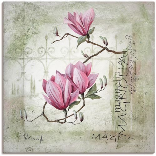 4055327830492 - Wandbild ARTLAND Pinke Magnolie Bilder Gr B H 70 cm x 70 cm Leinwandbild Blumen 1 St pink Bild Kunstdruck Poster Bilder als Leinwandbild Wandaufkleber oder in versch Größen 4055327830492 - Wandbild ARTLAND Pinke Magnolie Bilder Gr B H 70 cm x 70 cm Leinwandbild Blumen 1 St pink Bild Kunstdruck Poster Bilder als Leinwandbild Wandaufkleber oder in versch Größen
