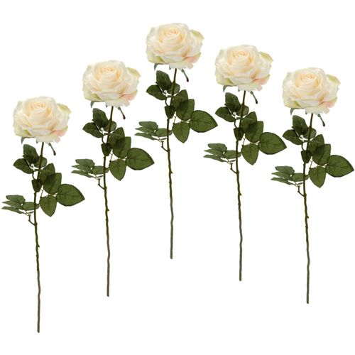 4019844782283 - Kunstblume IGEA Rose beige (creme) B11cm H68cm Obermaterial 98% Polyester 2% Kunststoff Kunstpflanzen 5er Set 4019844782283 - Kunstblume IGEA Rose beige (creme) B11cm H68cm Obermaterial 98% Polyester 2% Kunststoff Kunstpflanzen 5er Set
