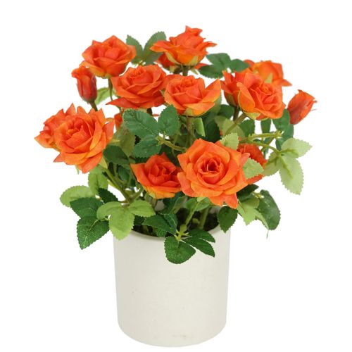 4019844814038 - Kunstblume IGEA Wildrosen Busch im Topf orange B18cm H21cm L18cm Polyester Kunstpflanzen Rosen Kunstrosen Kunstpflanze Blumen Künstliche Hochzeitsdeko 4019844814038 - Kunstblume IGEA Wildrosen Busch im Topf orange B18cm H21cm L18cm Polyester Kunstpflanzen Rosen Kunstrosen Kunstpflanze Blumen Künstliche Hochzeitsdeko