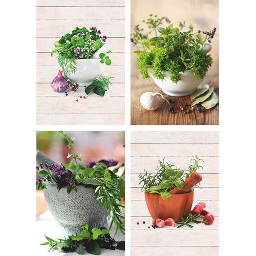 4062144315682 - Poster ARTLAND Frische Kräuter und Gewürze Bilder Gr B H 21 cm x 297 cm Poster Arrangements Hochformat 4 St grün Poster Bilder Poster Wandbild Bild Wandposter