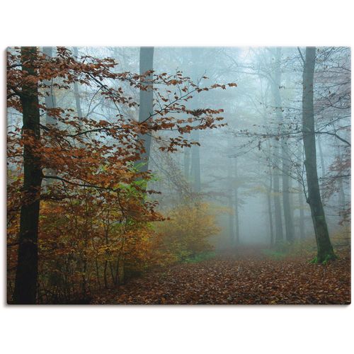 4055327305839 - Wandbild ARTLAND Nebel im Herbstwald Bilder Gr B H 80 cm x 60 cm Leinwandbild Wald 1 St braun Bild Kunstdruck Kunstdrucke Bilder als Leinwandbild Wandaufkleber oder Poster in versch Größen 4055327305839 - Wandbild ARTLAND Nebel im Herbstwald Bilder Gr B H 80 cm x 60 cm Leinwandbild Wald 1 St braun Bild Kunstdruck Kunstdrucke Bilder als Leinwandbild Wandaufkleber oder Poster in versch Größen