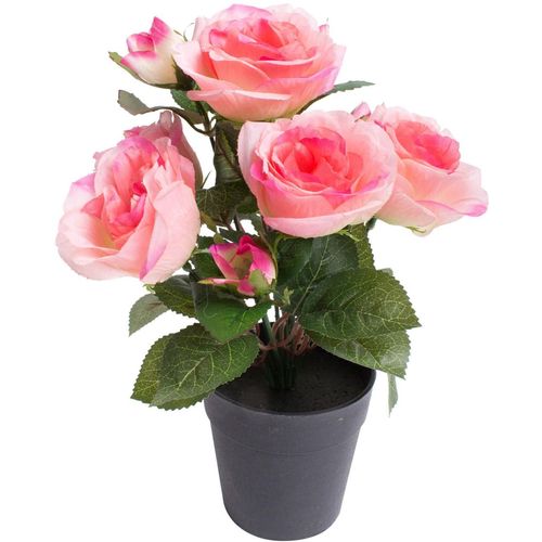 8505451849076 - Kunstblume BOTANIC-HAUS Rosenbusch pink B20cm H27cm T20cm Ø20cm Kunststoff Kunstpflanzen 8505451849076 - Kunstblume BOTANIC-HAUS Rosenbusch pink B20cm H27cm T20cm Ø20cm Kunststoff Kunstpflanzen