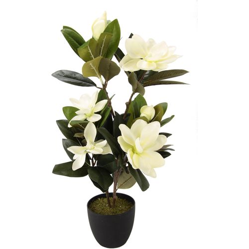 4019844742027 - Kunstbaum IGEA Magnolienbusch Kunstpflanzen Gr B H 40 cm x 68 cm 1 St weiß Kunstbaum Kunst-Bäume Kunstpflanzen im Kunststofftopf