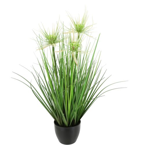 4019844806057 - Kunstpflanze IGEA Protea im Grasbusch grün B26cm H52cm L26cm Kunststoff Kunstpflanzen 4019844806057 - Kunstpflanze IGEA Protea im Grasbusch grün B26cm H52cm L26cm Kunststoff Kunstpflanzen