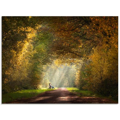 4058661706980 - Glasbild ARTLAND Licht am Ende des Tunnels Bilder Gr B H 60 cm x 45 cm Glasbild Wald Querformat 1 St grün Bild Glasbild Glasbilder Bilder in verschiedenen Größen 4058661706980 - Glasbild ARTLAND Licht am Ende des Tunnels Bilder Gr B H 60 cm x 45 cm Glasbild Wald Querformat 1 St grün Bild Glasbild Glasbilder Bilder in verschiedenen Größen