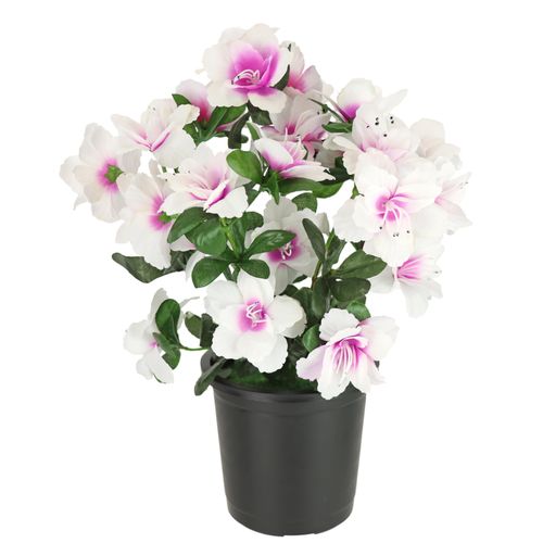 4019844811297 - Kunstblume IGEA Kunstblume Azaleen im Topf rosa (weiß rosa) B21cm H29cm L21cm Polyester Kunstpflanzen Blume Kunstpflanze Blumendeko Tischdeko Zimmerpflanze 4019844811297 - Kunstblume IGEA Kunstblume Azaleen im Topf rosa (weiß rosa) B21cm H29cm L21cm Polyester Kunstpflanzen Blume Kunstpflanze Blumendeko Tischdeko Zimmerpflanze