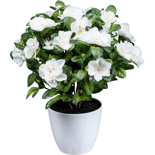4064118138556 - Kunstblume CREATIV GREEN Azaleenbusch weiß H32cm Obermaterial 85% Polyester 15% Polyethylen Kunstpflanzen