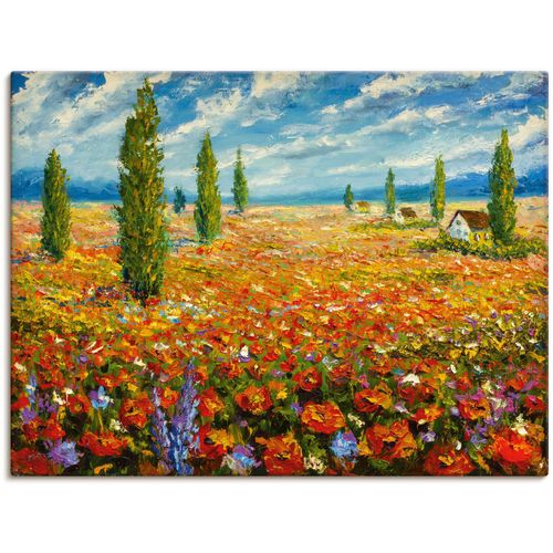 4062144641477 - Wandbild ARTLAND Mohnblumenwiese Bilder Gr B H 80 cm x 60 cm Leinwandbild Blumenwiese Querformat 1 St rot Kunstdrucke als Alubild Leinwandbild Wandaufkleber oder Poster in versch Größen 4062144641477 - Wandbild ARTLAND Mohnblumenwiese Bilder Gr B H 80 cm x 60 cm Leinwandbild Blumenwiese Querformat 1 St rot Kunstdrucke als Alubild Leinwandbild Wandaufkleber oder Poster in versch Größen