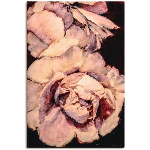 4059745047265 - Wandbild ARTLAND Pfingsrose III Bilder Gr B H 60 cm x 90 cm Leinwandbild Blumen 1 St braun Bild Poster Kunstdruck Bilder als Alubild Leinwandbild Wandaufkleber oder in versch Größen 4059745047265 - Wandbild ARTLAND Pfingsrose III Bilder Gr B H 60 cm x 90 cm Leinwandbild Blumen 1 St braun Bild Poster Kunstdruck Bilder als Alubild Leinwandbild Wandaufkleber oder in versch Größen