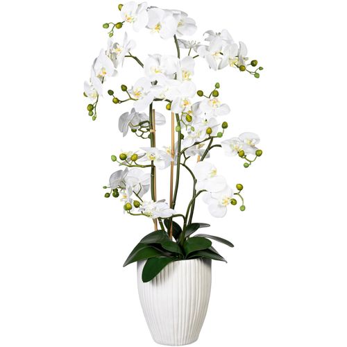 4064118137313 - Kunstorchidee CREATIV GREEN Deko-Orchidee Phalaenopsis XL im Keramiktopf weiß Kunstpflanzen B H L 50cm x 110cm x 40cm Obermaterial 100% Polyethylen B50cm H110cm L40cm 4064118137313 - Kunstorchidee CREATIV GREEN Deko-Orchidee Phalaenopsis XL im Keramiktopf weiß Kunstpflanzen B H L 50cm x 110cm x 40cm Obermaterial 100% Polyethylen B50cm H110cm L40cm