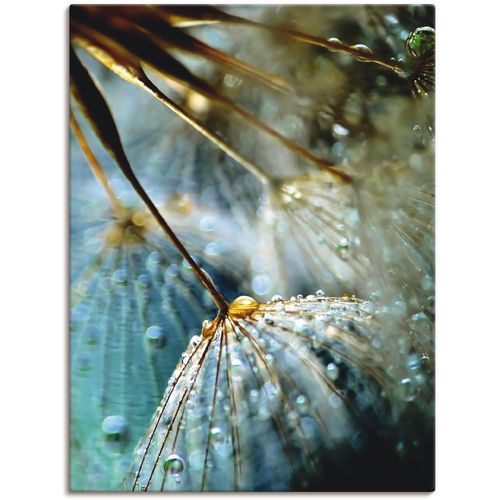 4055327764247 - Wandbild ARTLAND Pusteblume Mystische Schönheit Bilder Gr B H 30 cm x 40 cm Leinwandbild Blumen 1 St blau Bild Kunstdruck Metallbild Metallbilder Bilder als Alubild Leinwandbild Wandaufkleber oder Poster in versch Größen 4055327764247 - Wandbild ARTLAND Pusteblume Mystische Schönheit Bilder Gr B H 30 cm x 40 cm Leinwandbild Blumen 1 St blau Bild Kunstdruck Metallbild Metallbilder Bilder als Alubild Leinwandbild Wandaufkleber oder Poster in versch Größen