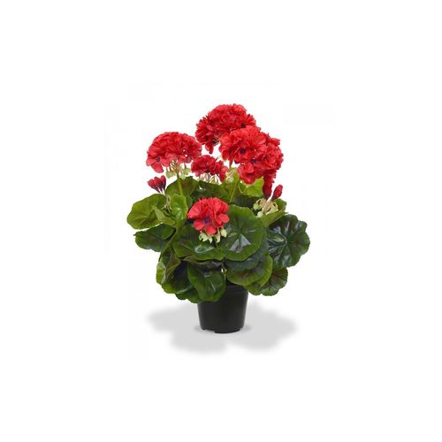 7613132157431 - Botanic-Haus Kunstblume »Geranien in Topf 40 cm«